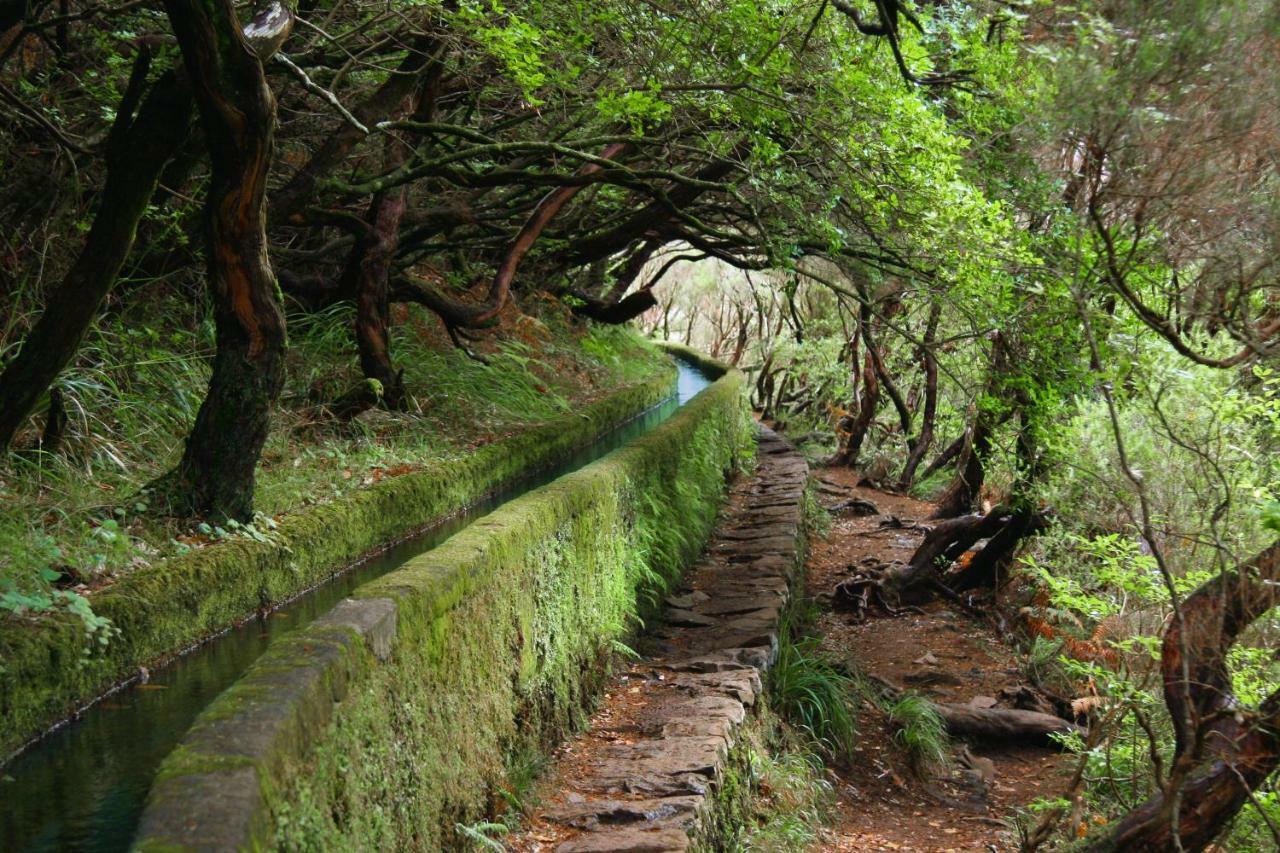 Central Suite In Funchal 2N Dış mekan fotoğraf