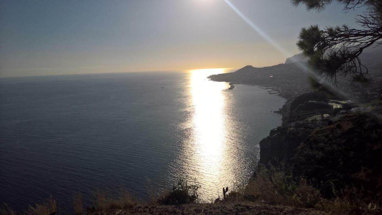Central Suite In Funchal 2N Dış mekan fotoğraf